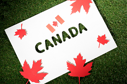Canada Election 2025 Results and Our Political Strategy