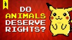 Do Animals Have Rights?