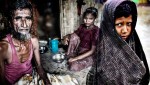 The Rohingya Muslims:  The Victims of Pure State-Terrorism  Â Â Â Â Â Â Â Â Â Â Â 