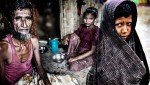 The Rohingya Muslims:  The Victims of Pure State-Terrorism